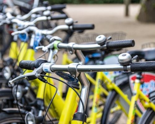 yellow bicycles lined up